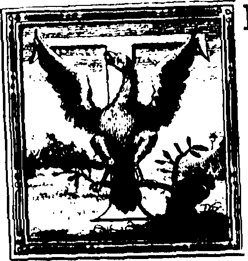 051/051990060000280_0.png