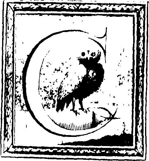 051/051990060002080_0.png