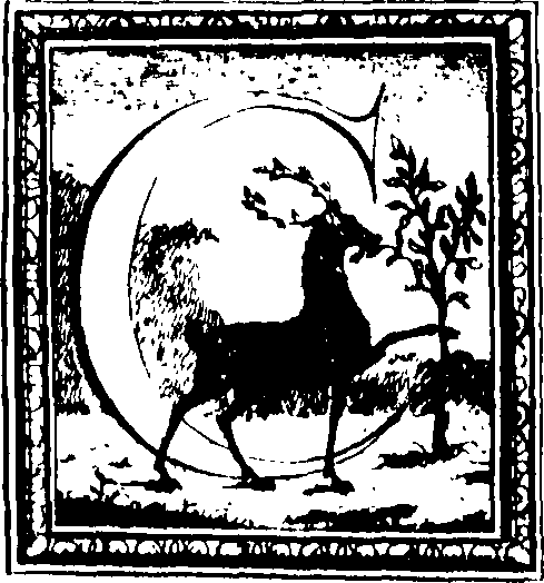 051/051990060002450_0.png