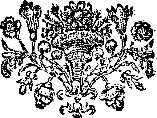 052/052000080202580_0.png