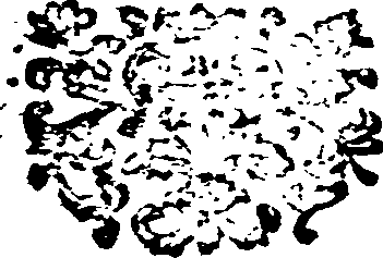 052/052050050000080_0.png