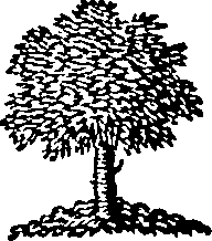 052/052120080000130_0.png