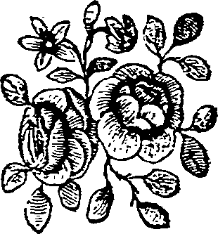 052/052120080002260_0.png