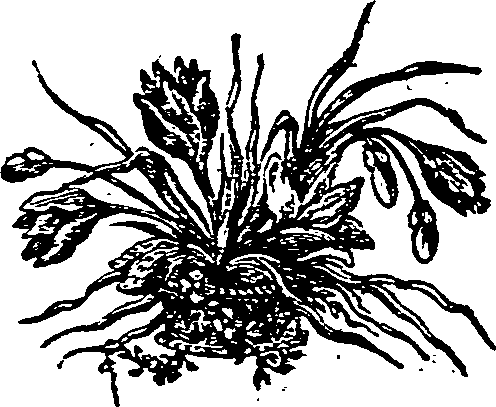 052/052120080002970_0.png