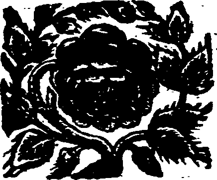 052/052130060001350_0.png