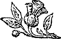 052/052230010201190_0.png