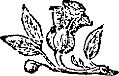 052/052230010202030_0.png