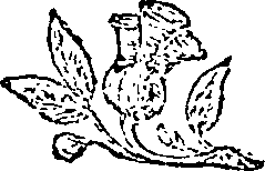 052/052230010202610_0.png