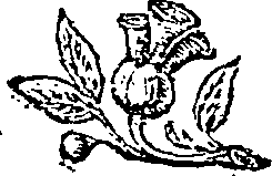052/052230010202750_0.png