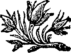 052/052230010204600_0.png