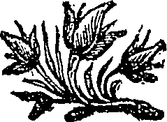 052/052230010301390_0.png