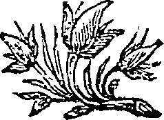052/052230010301670_0.png