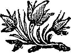 052/052230010303090_0.png