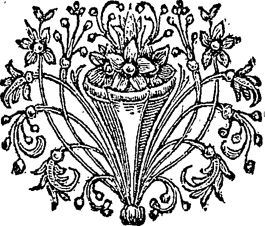 052/052230010402250_0.png