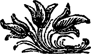 052/052320160000010_1.png