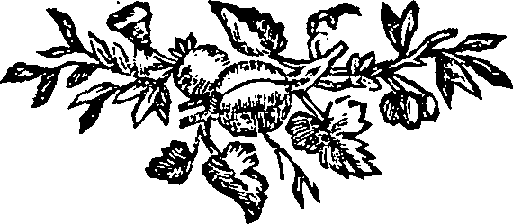 052/052320290000020_1.png
