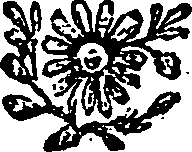052/052340050004210_1.png