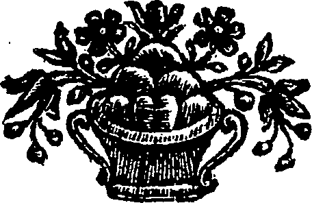 052/052370010000020_1.png