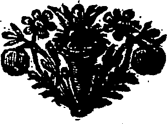 052/052370190000010_1.png