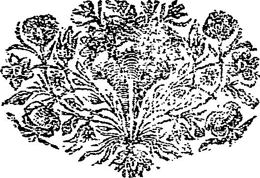 052/052400110000460_0.png