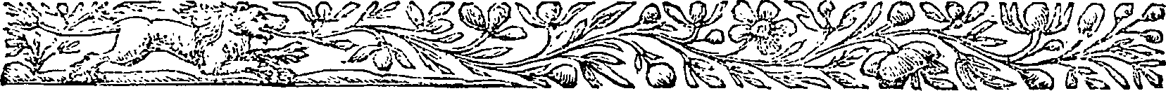 052/052510030001330_1.png