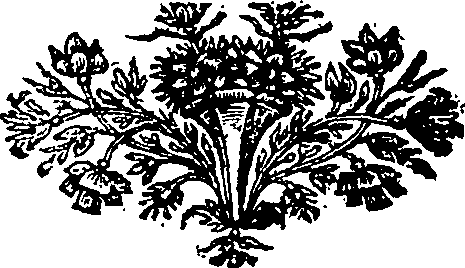 052/052510030006530_1.png