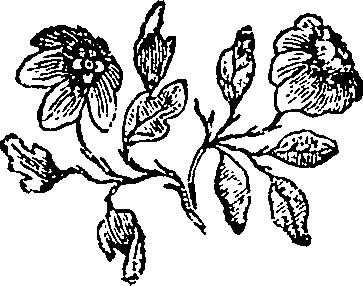 052/052590080000770_0.png