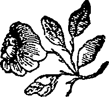 052/052590080000850_0.png