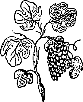 052/052590080001000_0.png