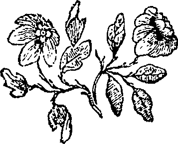 052/052590080001100_0.png