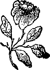 052/052590080001320_0.png