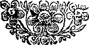 052/052780010100010_0.png