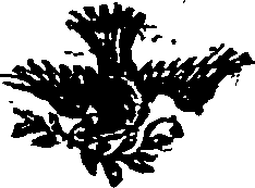 052/052970010001170_0.png