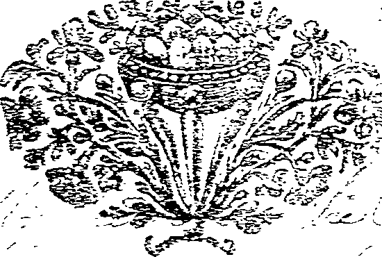 053/053000100000320_0.png