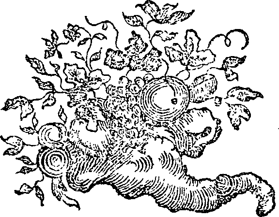 053/053020100000270_0.png