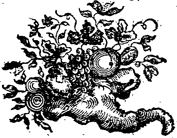 053/053020100000540_0.png