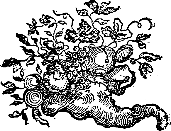 053/053020100001320_0.png