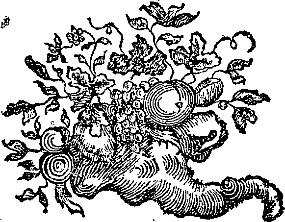 053/053020100001870_0.png