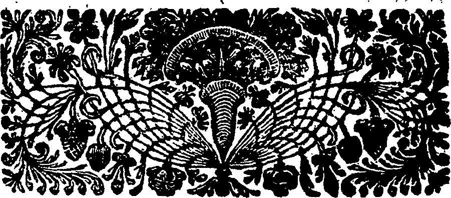 053/053030070000020_1.png