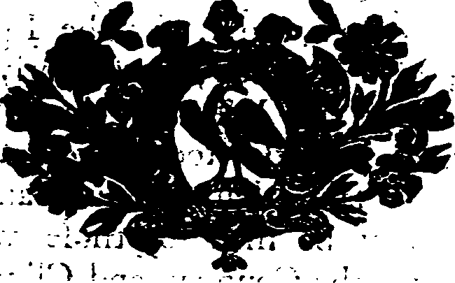 053/053070050000050_0.png