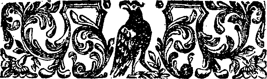 053/053090710000050_1.png