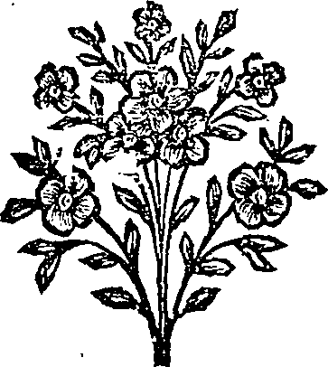 053/053160010000240_0.png