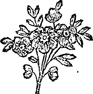 053/053160010000270_0.png