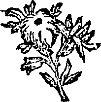 053/053160010000540_0.png