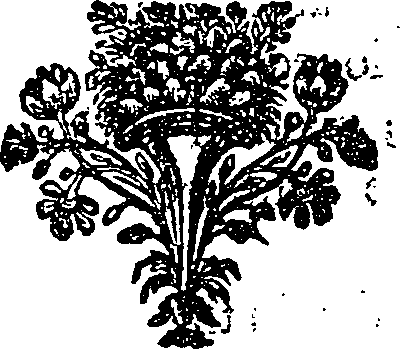 053/053180050000110_0.png