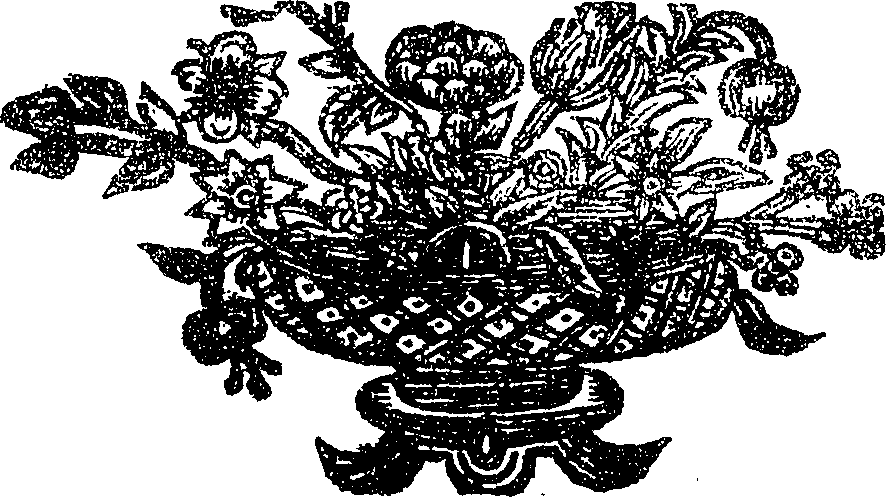 053/053440080000030_0.png