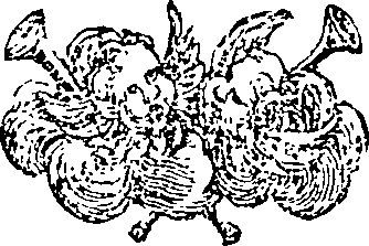 053/053530030003700_0.png