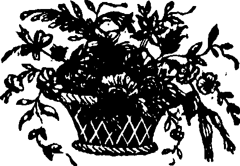 053/053570020202330_0.png
