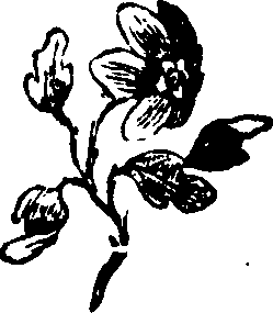 053/053680040000400_0.png