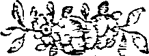 053/053690050000430_0.png